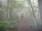 DSC02704.JPG