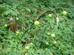 DSC02707.JPG