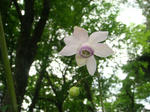 DSC02710.JPG