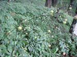DSC02712.JPG