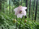 DSC02713.JPG
