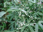DSC02715.JPG