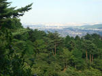 DSC02719.JPG