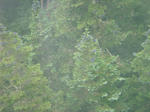 DSC02723.JPG