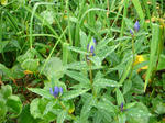 DSC02738.JPG