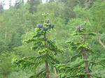 DSC02740.JPG