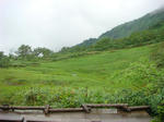DSC02745.JPG