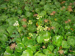 DSC02748.JPG