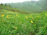 DSC02751.JPG