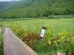 DSC02756.JPG