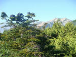 DSC02764.JPG