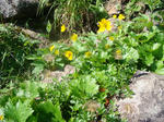 DSC02769.JPG