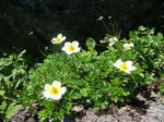 DSC02787.JPG