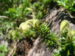 DSC02789.JPG