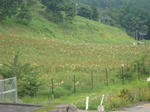 DSC02792.JPG