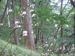 DSC02802.JPG