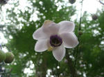 DSC02803.JPG