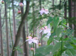 DSC02811.JPG