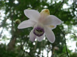 DSC02815.JPG