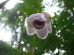 DSC02821.JPG