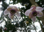 DSC02825.JPG