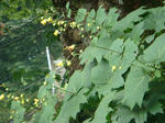 DSC02829.JPG