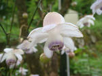 DSC02833.JPG