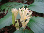 DSC02841.JPG