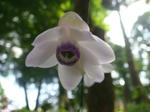 DSC02848.JPG