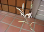 DSC02852.JPG