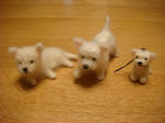 DSC02855.JPG
