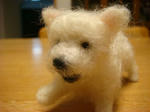 DSC02857.JPG