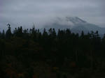 DSC02922.JPG