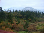 DSC02924.JPG