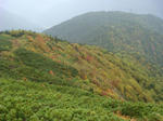 DSC02948.JPG