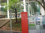 DSC02978.JPG