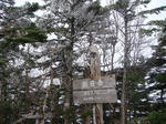 DSC02997.JPG