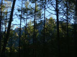 DSC03032.JPG