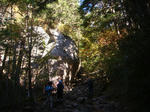 DSC03040.JPG