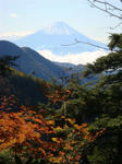 DSC03042.JPG