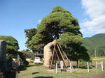 DSC03059.JPG