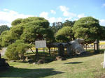 DSC03061.JPG