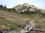 DSC03089.JPG