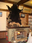 DSC03129.JPG