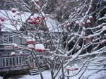 DSC03159.JPG