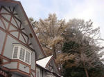 DSC03163.JPG