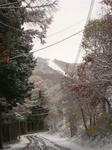 DSC03162.JPG