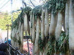 DSC03176.JPG