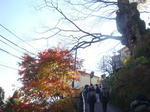DSC03178.JPG