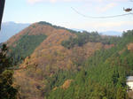 DSC03180.JPG